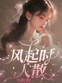 风起时人散未删减阅读-暗夜阅读网