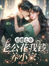 田心语邹扬完整版结婚七年，老公花我钱养小家全文最新阅读