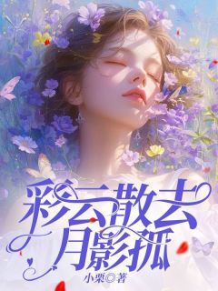 彩云散去月影孤乔黛傅司远小说全文章节阅读-暗夜阅读网