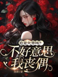 叶蓁蓁陆璟安全集小说_追妻火葬场?不好意思我丧偶完结版阅读-暗夜阅读网