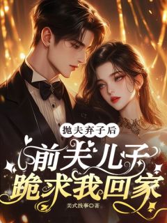 爆款小说抛夫弃子后，前夫儿子跪求我回家在线阅读-叶南栖慕言枭免费阅读-暗夜阅读网