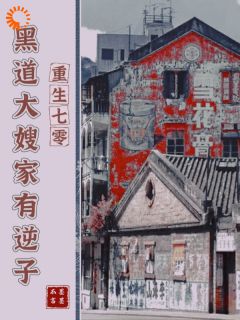 重生七零，黑道大嫂家有逆子免费小说作者墨墨不言全文阅读