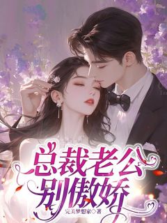 沐小暖贺子岳主角的小说完结版总裁老公别傲娇全集