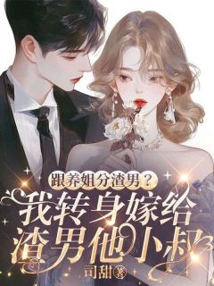 跟养姐分渣男？我转身嫁给渣男他小叔花放傅厉南全章节在线阅读-暗夜阅读网