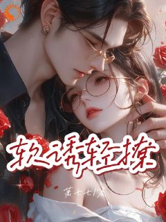 抖音小说软诱,轻撩,主角江软陆时晏最后结局小说全文免费-暗夜阅读网