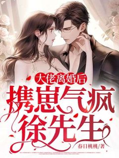 最完整版大佬离婚后，携崽气疯徐先生热门连载小说