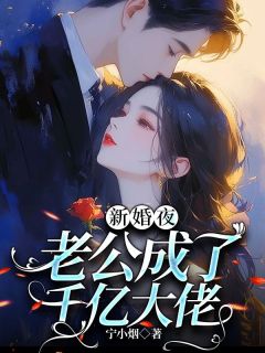 无广告小说新婚夜,老公成了千亿大佬-安小七冷亦宸在线阅读-暗夜阅读网
