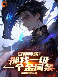 热门推荐召唤师弱?那我一级一个金词条!by小狗欢欢小说正版在线-暗夜阅读网