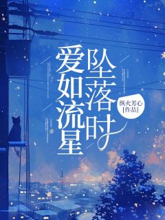 曲舒然陆承泽主角抖音小说爱如流星坠落时在线阅读