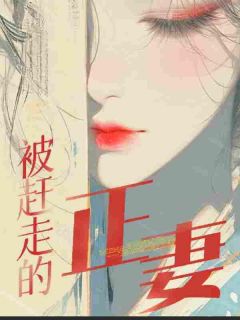 被赶走的正妻顾清原沈质小说全章节最新阅读