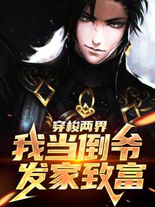 抖音爆款两界穿越指南完整小说（全文阅读）