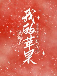 （全本）圣诞节我的苹果卖五元主角张红李飞全文目录畅读