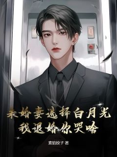 熬夜也要看完的未婚妻选择白月光，我退婚你哭啥？小说推荐