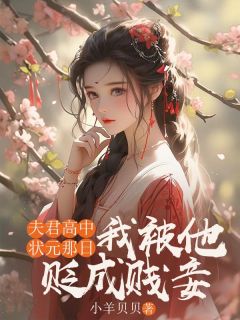 夫君高中状元那日，我被他贬成贱妾(新书)小说_阿满裴敬之阅读