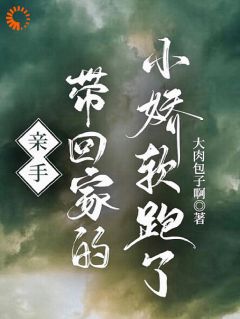 亲手带回家的小娇软跑了在线阅读 叶初瑶傅晏免费小说精彩章节