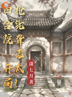 四合院：开局枪毙聋老太！小说免费阅读 宋平安易忠海大结局完整版