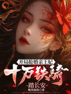 开局抢婚亲王妃，十万铁骑踏长安主角是叶时安叶时宁小说百度云全文完整版阅读-暗夜阅读网