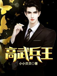 (精品)高武兵王小说
