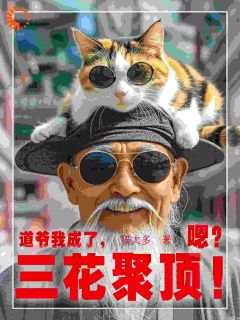 抖音爆款道爷我成了，三花聚顶！嗯？完整小说（全文阅读）
