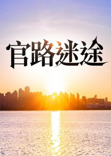 抖音小说官路迷途，主角许国华孙思颖最后结局小说全文免费