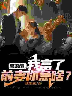 离婚后，我富了，前妻你急啥？(风無痕)最佳创作小说全文在线阅读