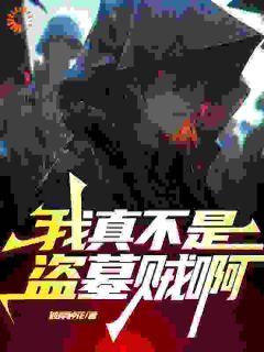 抖音我真不是盗墓贼啊txt小说阅读