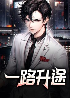 陆渐红安然小说哪里可以看 小说一路升途全文免费阅读