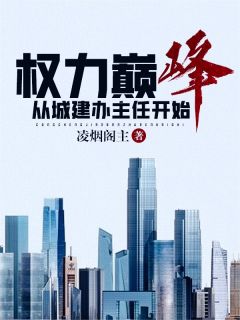 高质量小说权力巅峰：从城建办主任开始在线试读
