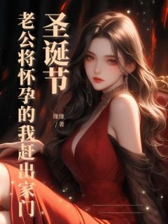 抖音圣诞节，老公将怀孕的我赶出家门txt小说阅读
