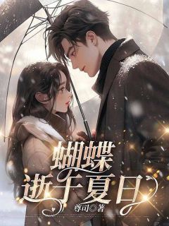 蝴蝶逝于夏日小说(完整版)-南音顾言琛章节阅读