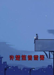 许楚笙曾雪箐小说许楚笙曾雪箐全文阅读-暗夜阅读网