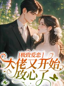 极致爱恋，大佬又开始攻心了小说的书名是什么