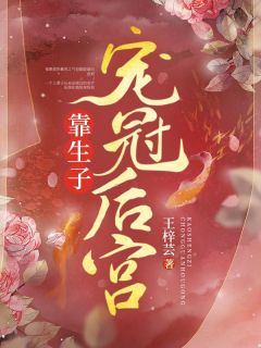 (精品)靠生子宠冠后宫小说