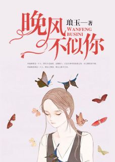 小说推荐晚风不似你完结版全章节阅读