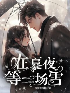 (精品)在夏夜等一场雪小说