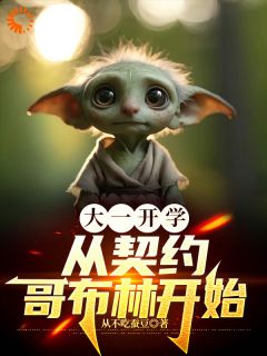 大一开学，从契约哥布林开始小说(完结)-林峰哥布林无删减阅读