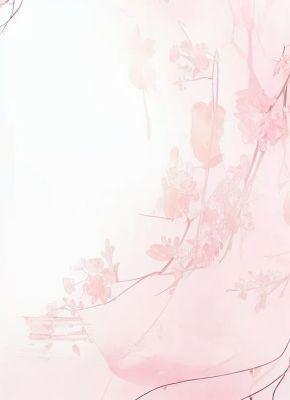 抖音穿成福宝对照组后，福宝疯了txt小说阅读