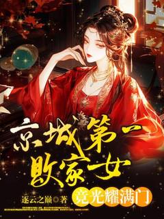 京城第一败家女,竟光耀满门?by司空堇拓拔钰在线阅读-暗夜阅读网