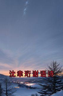 沈聿珩谢语诗by谢语诗免费阅读小说大结局-暗夜阅读网