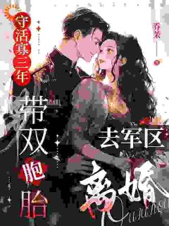 （全集-免费）守活寡三年，带双胞胎去军区离婚完本小说_云织织秦时郁全文免费阅读-暗夜阅读网