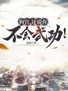 良心推荐狗官，还说你不会武功！小说试读