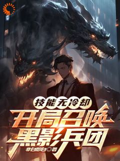 技能无冷却,开局召唤黑影兵团(林默秦嫣然)小说全章节目录阅读-暗夜阅读网