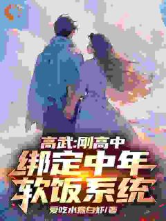 高武：刚高中，绑定中年软饭系统小说苏辰肖璐免费阅读