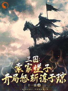 十一露写的小说三国：袁家逆子，开局怒斩淳于琼袁熙袁绍全文阅读