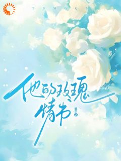 主角是林染沈宴川的小说叫什么他的玫瑰情书免费全文阅读
