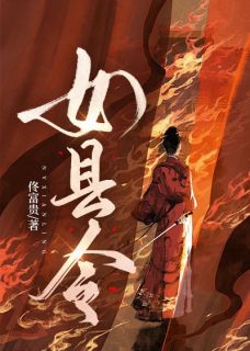 女县令小说的书名是什么-暗夜阅读网