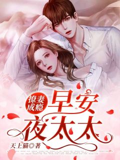 抖音小说撩妻成瘾:早安,夜太太江觅星夜顷决全文txt-暗夜阅读网