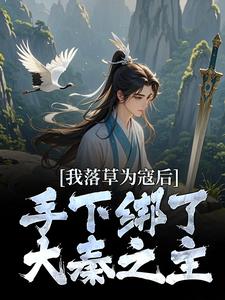 主角嬴十三嬴政的小说作者轮儿