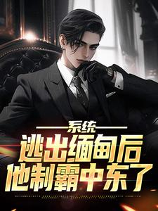 宋仁阿玲全章节阅读-系统：逃出缅甸后，他制霸中东了全文分享阅读