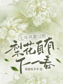 老书虫书荒推荐七年风霜过眼，梨花自有下一春txt小说阅读